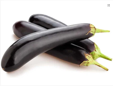 Solanum melongena ‘Mini Lebanese’ (Mini Lebanese Eggplant)