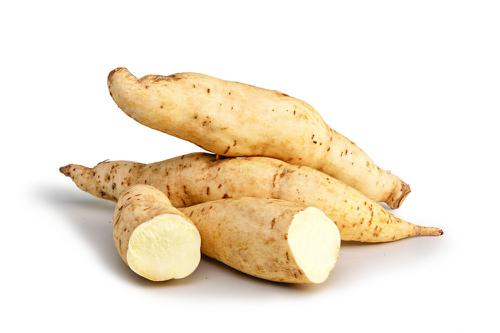Ipomoea Batatas (Sweet Potato White)