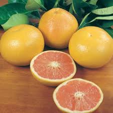 Citrus Paradisi ‘Ray Ruby’ (Grapefruit)