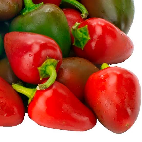Capsicum Annuum (Sweet Pimento Capsicum)