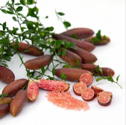 Citrus australasica ‘Rainforest Pearl’ (Finger Lime)