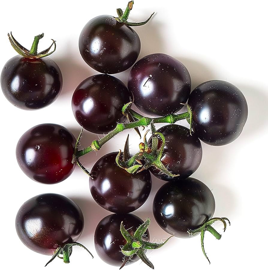 Solanum Lycopersicum 'Black Cherry' (Black Cherry Tomato)