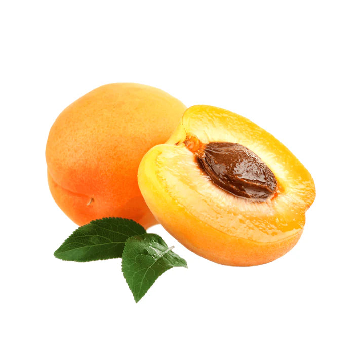 DWARF Prunus Armeniaca (Apricot Bulida)