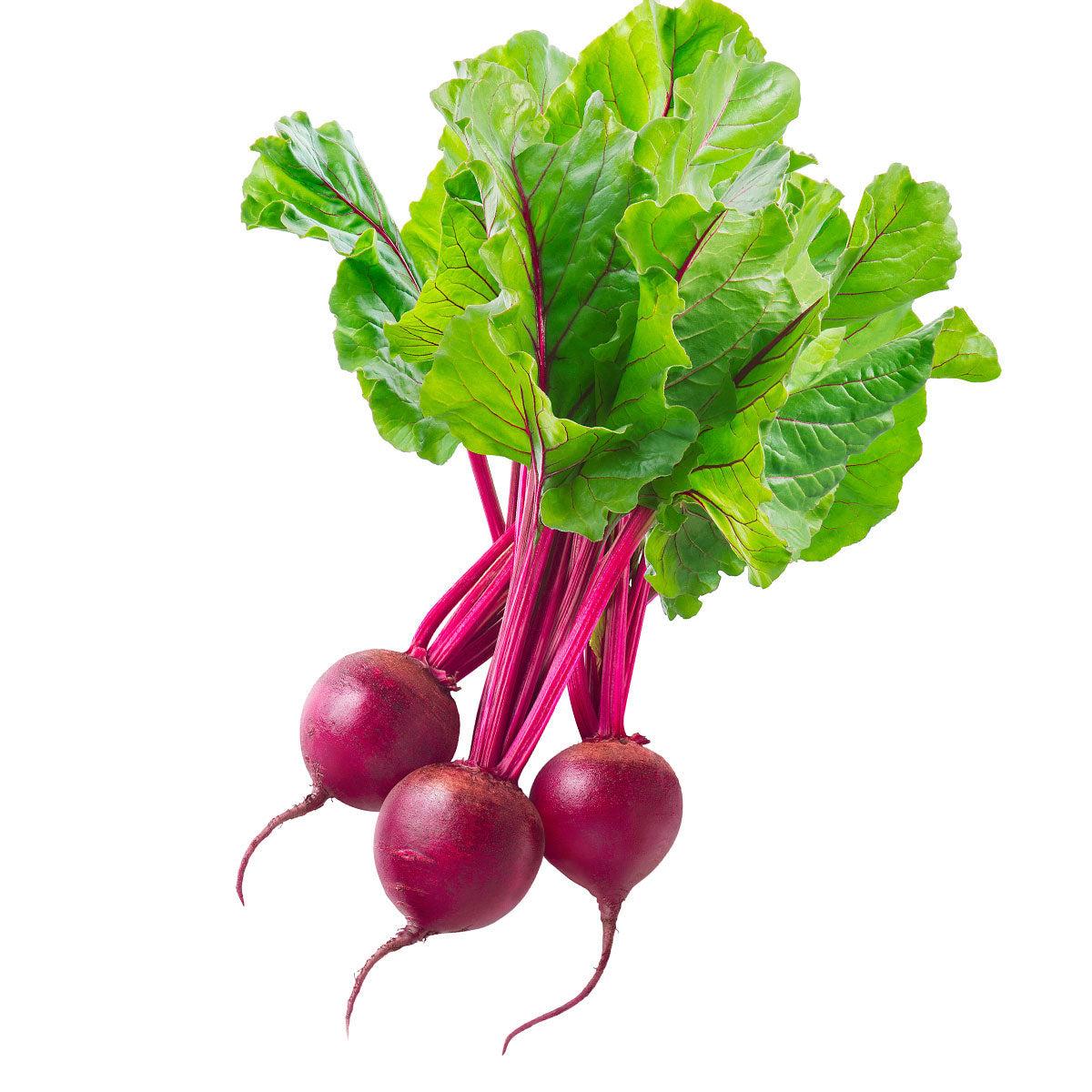 Beta Vulgaris (Baby Beetroot)