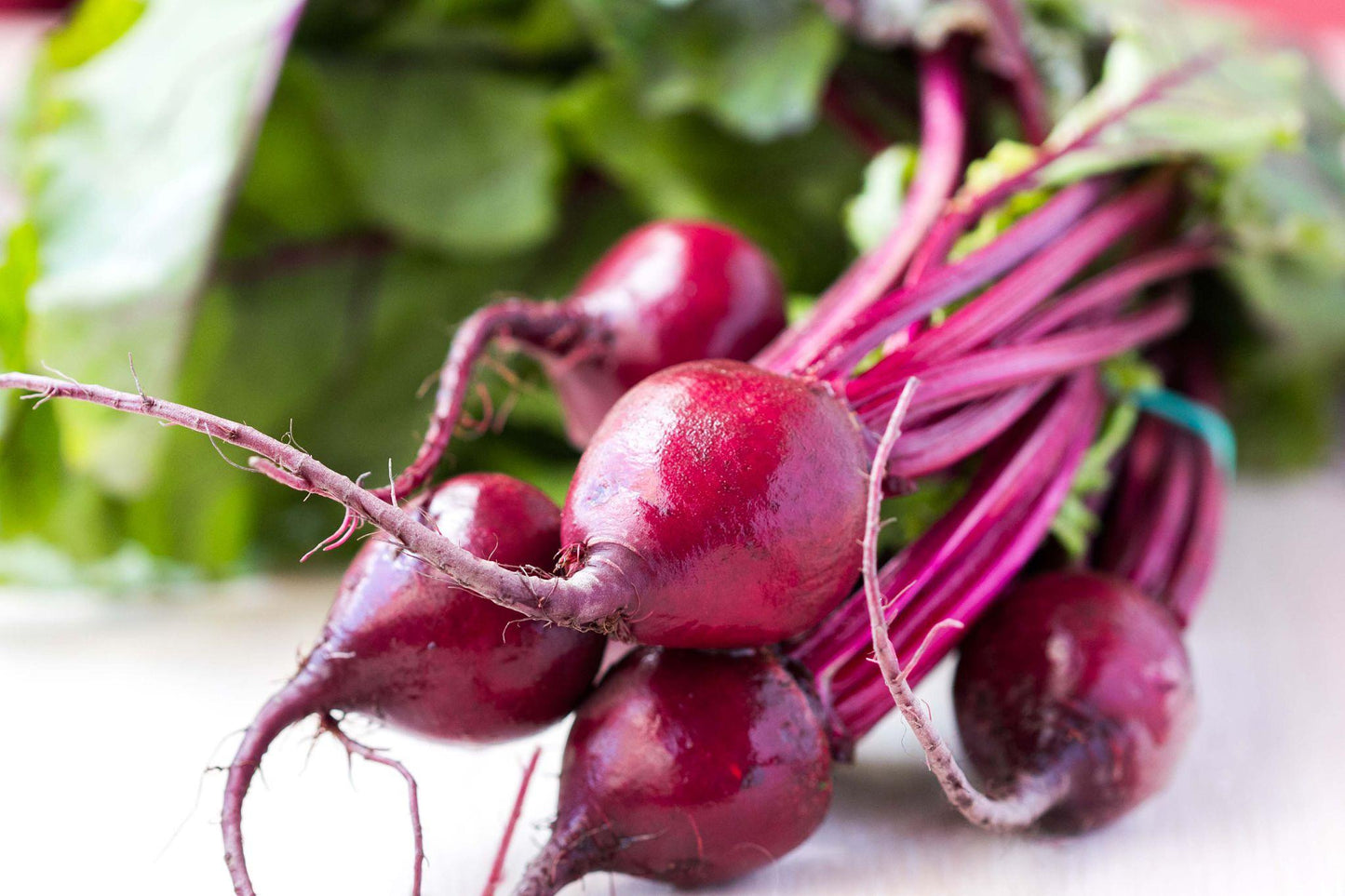 Beta Vulgaris (Baby Beetroot)