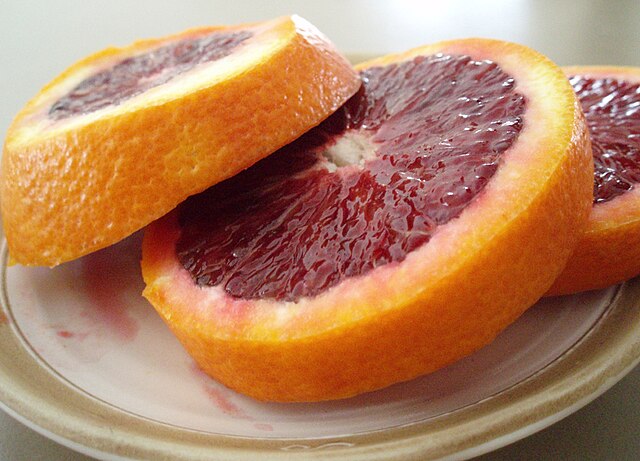 Citrus Sinensis 'Blood Orange' GRAFTED