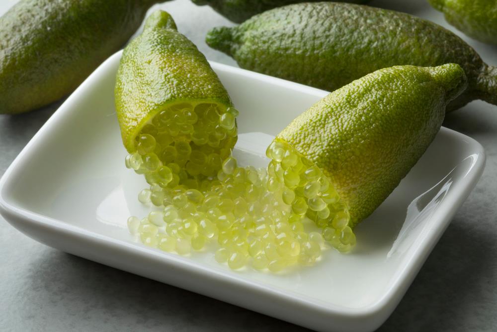 Citrus australasica ‘Jasper Jade’ (Finger Lime)