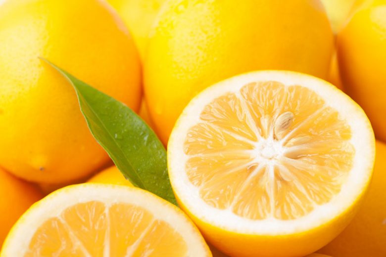 Citrus limon (Lemon Meyer Espalier)