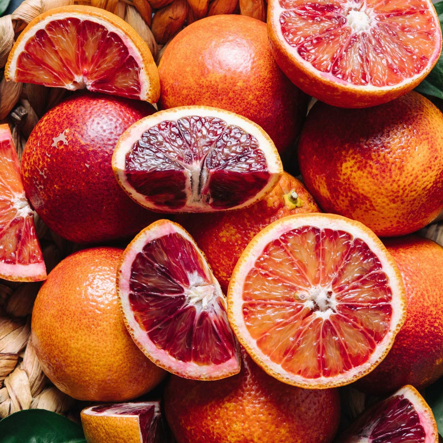 Citrus sinensis (Orange Maltese Blood)