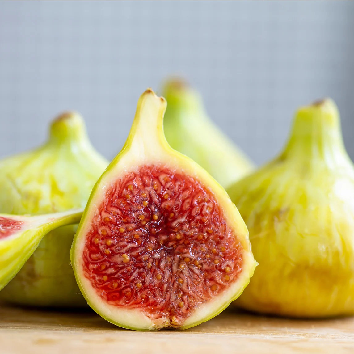 Ficus Carica ‘White Genoa’ (White Genoa Fig)