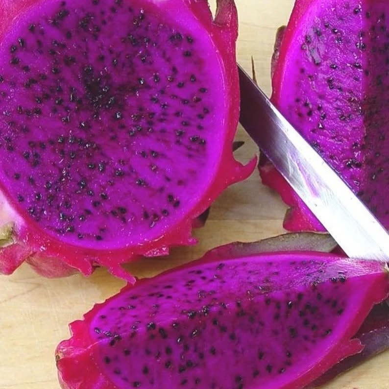 Hylocereus X (Scott’s Purple Dragon Fruit)