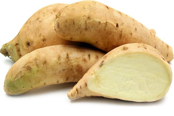 Ipomoea Batatas (Sweet Potato White)