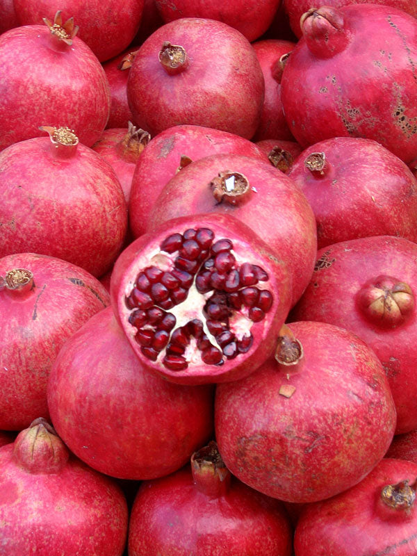 Punica granatum (Angel Red)