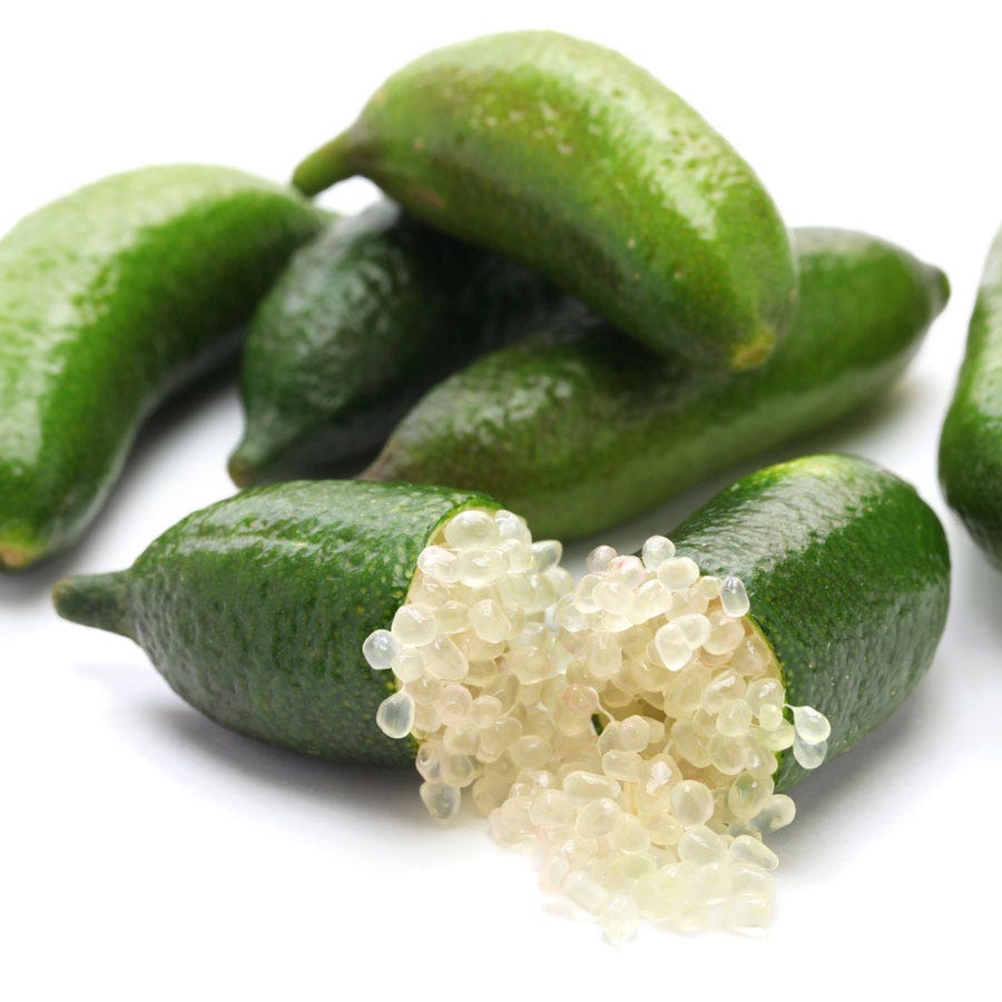 Citrus australasica ‘Australian Sunrise’ (Finger Lime)