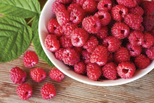 Rubus idaeus ‘Heritage’ (Heritage Raspberry)