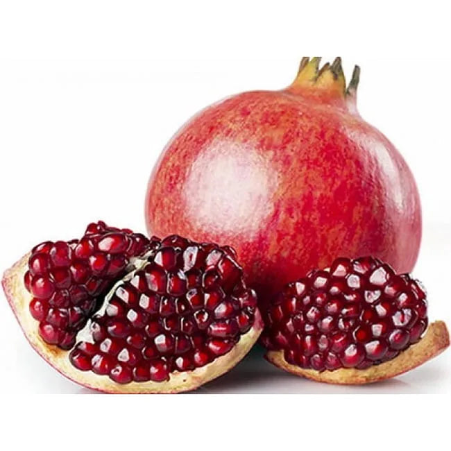 Punica granatum (Pomegranate – Jodhpur)