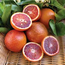 Citrus Sinensis ‘Arnold Blood’ (Orange)