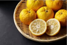 Citrus Junos (Yuzu) Grafted