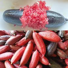 Citrus Australasica ‘Byron Sunrise’ Dwarf (Finger Lime) Grafted