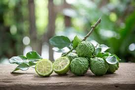Citrus Hystrix (Lime Kaffir)