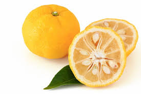 Citrus Junos (Yuzu)