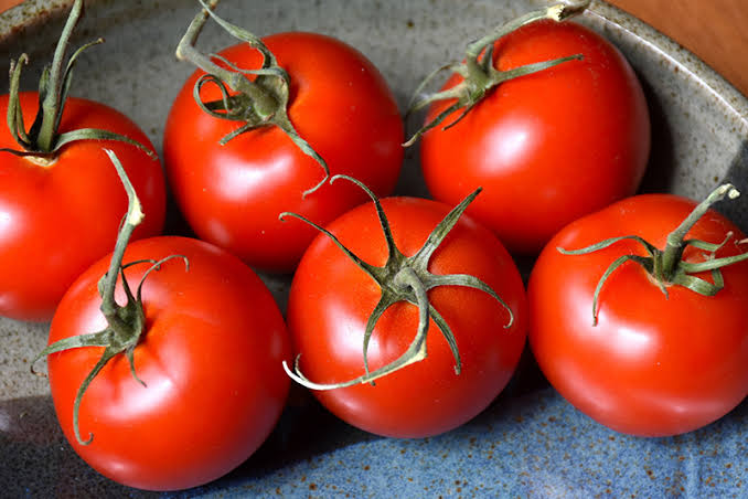 Solanum Lycopersicum 'Patio' (Patio Tomato)
