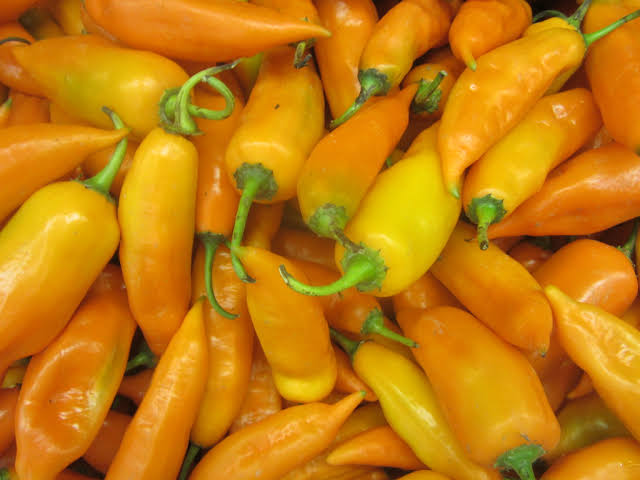 Capsicum Baccatum (Aji Yellow Chilli)
