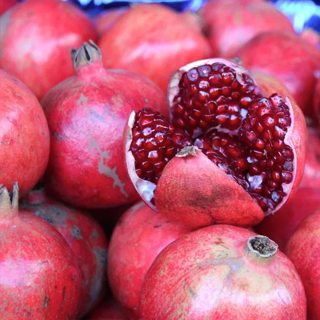 Punica granatum (Pomegranate – Gulosha Azerbaijani)