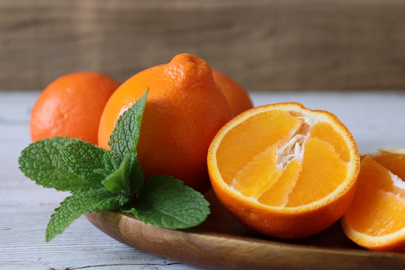 Citrus x (Tangelo Minneola)