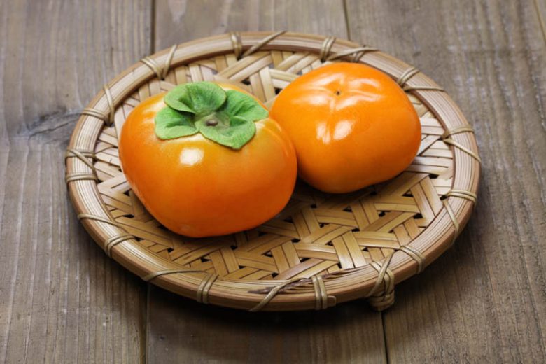 Diospyros kaki ‘Jiro’ (Jiro Persimmon)