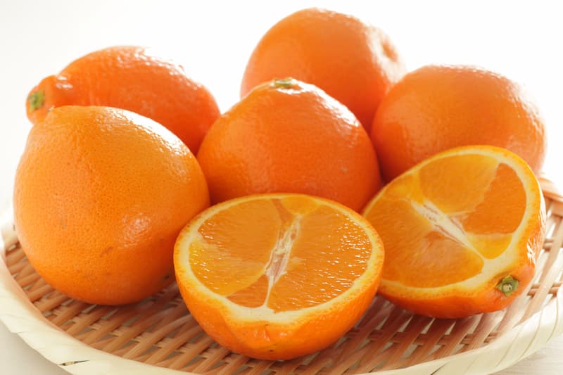 Citrus x (Tangelo Minneola)