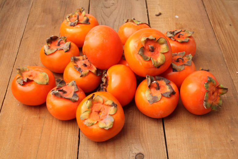 Persimmon - Fuyu Diospyros kaki Fuyu 