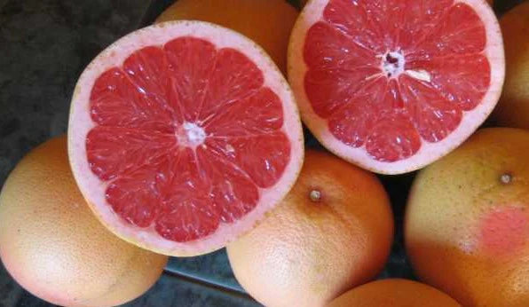 Citrus paradisi ‘Star Ruby’ (Grapefruit)