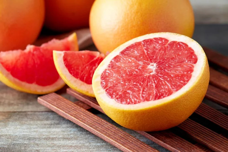Citrus paradisi ‘Marsh’ – Marsh Grapefruit