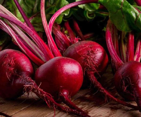 Beta Vulgaris Var. Crassa ‘Detroit Red’ (Detroit Red Beetroot)